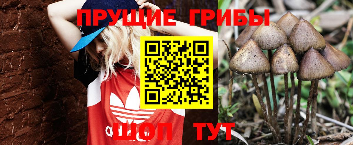 Волоколамск  Галлюциногенные грибы мухоморы  Псилоцибиновые грибы мухоморы  Вход с VPN 