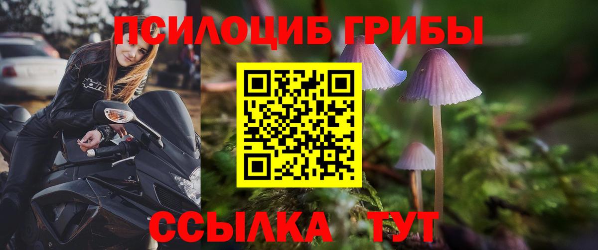 Галлюциногенные грибы прущие грибы Волоколамск